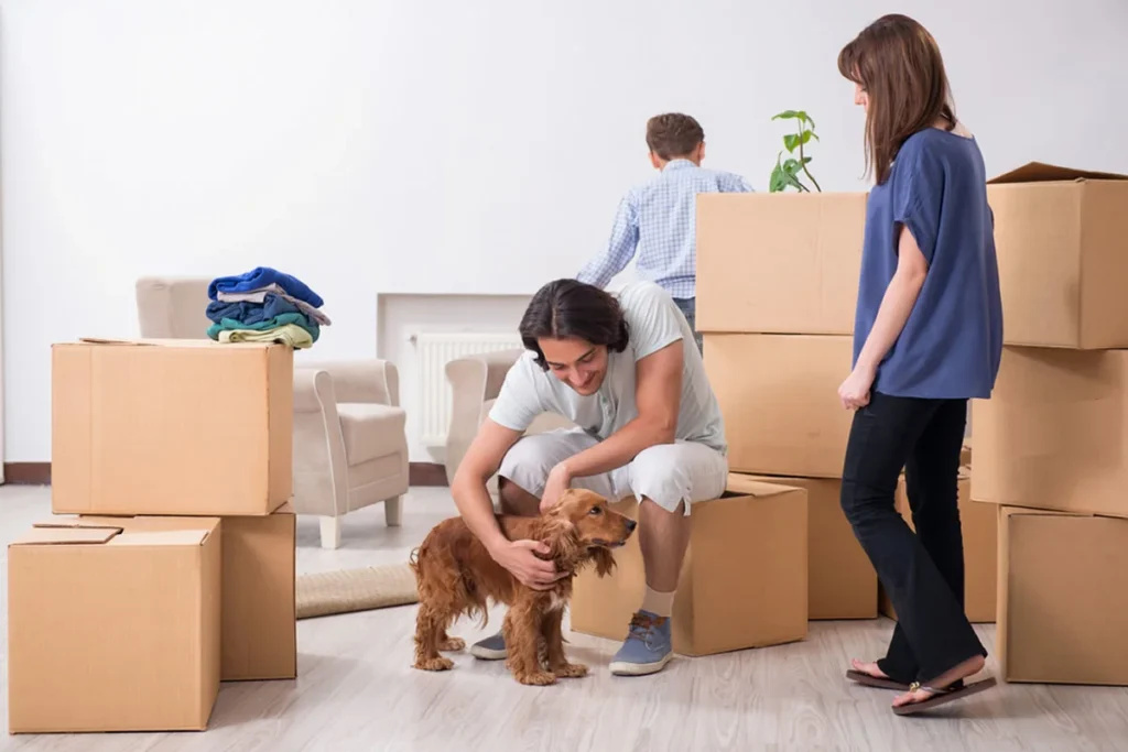 A family preparing for a house move surrounded by cardboard boxes, with a man gently resting his hand on a puppy while a woman stands nearby and a boy works behind the boxes